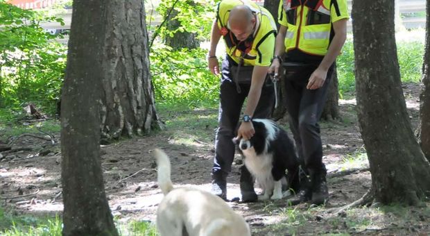Una donna scomparsa da casa: la cercano con i cani nei boschi