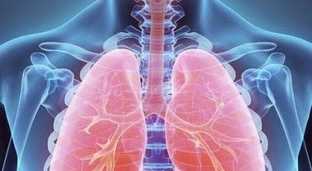 "Viaggio nel respiro", la campagna per educare alla cura dei polmoni