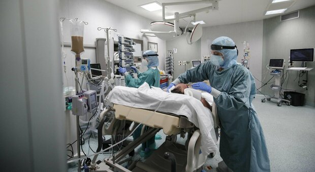 Tor Vergata, il paziente è un testimone di Geova: eseguito il primo trapianto di fegato senza trasfusioni