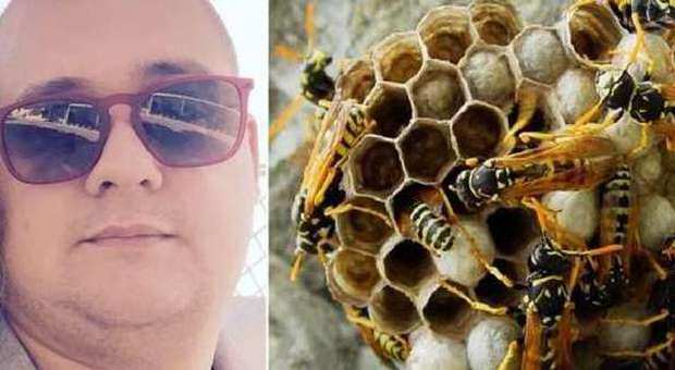 ​Punto da una vespa muore a 25 anni in vacanza per uno choc anafilattico