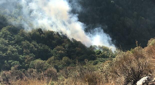 Alcuni boschi in fiamme nel Sannio pochi giorni fa