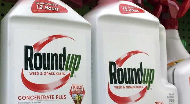Bayer-Monsanto condannata per il diserbante: deve pagare 80 milioni di dollari di risarcimenti