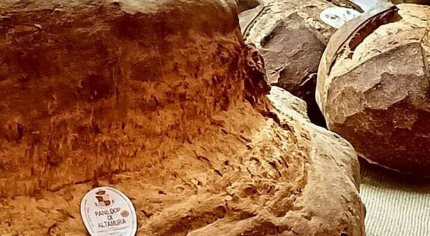 Pane di Altamura patrimonio dell'Unesco: inizia l'iter per il riconoscimento