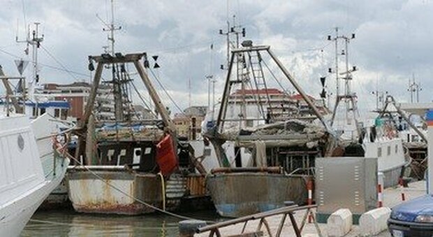 Consumi, Coldiretti: stop al pesce fresco nel Tirreno. Dal 4 ottobre avvio del fermo pesca