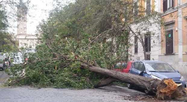 Meteo Roma, alberi caduti e strade chiuse. Allerta arancione per forti temporali su tutto il Centro Nord