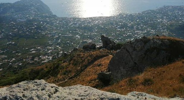 Veduta di Forio dal Monte Epomeo nel Comune di Serrara Fontana
