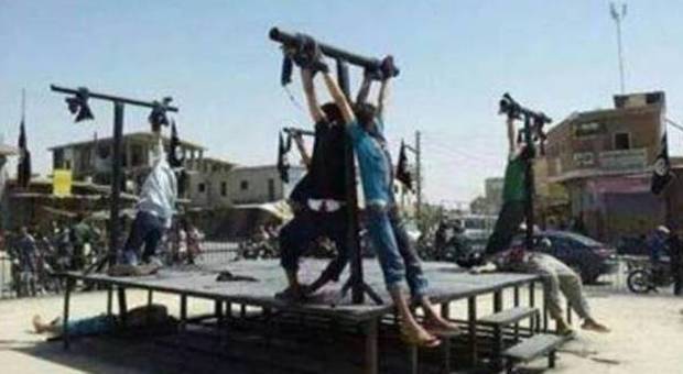 Siria, l'Isis ha ucciso 3.591 persone dalla proclamazione del Califfato