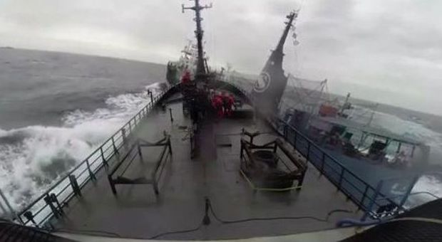 Sea Shepherd, le navi attaccate dalla flotta baleniera giapponese