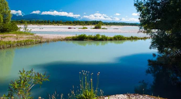 Bottacin: «Una grande oasi naturale nell'invaso di Ciano»