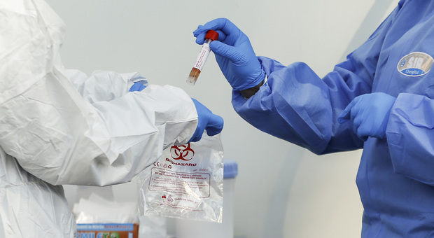 Coronavirus, l'Oms: «Vaccino possibile nei primi mesi del 2021»