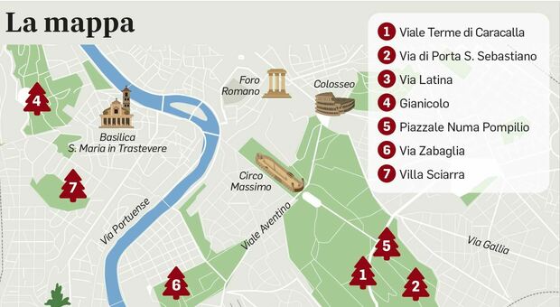 La mappa dei pini malati a Roma, centinaia di alberi a rischio dal Gianicolo a Caracalla