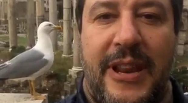 Roma, Salvini in diretta Fb dal Campidoglio: «Basta con incapacità Raggi e Zingaretti»