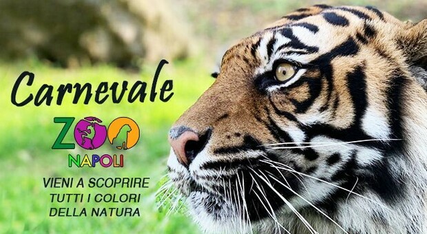 Carnevale allo zoo di Napoli tra animali e natura