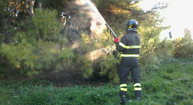 Danno fuoco alle piante del Passetto Ragazzini in fuga dopo la bravata