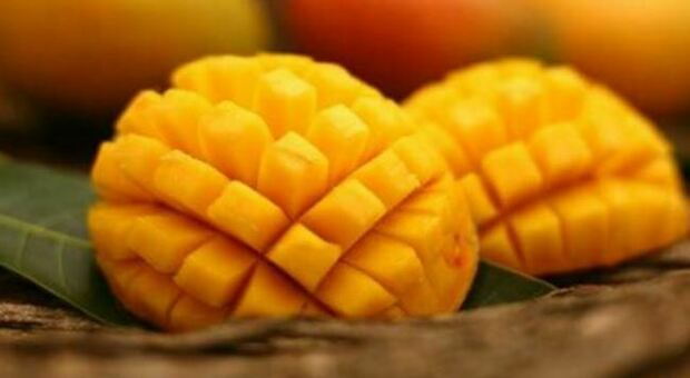 Dieta, i benefici del mango: «Supereroe della frutta»