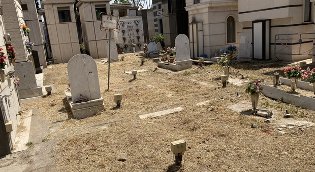 Napoli, cimitero di Ponticelli: tranciati alcuni cavi delle lampade dopo la bonifica
