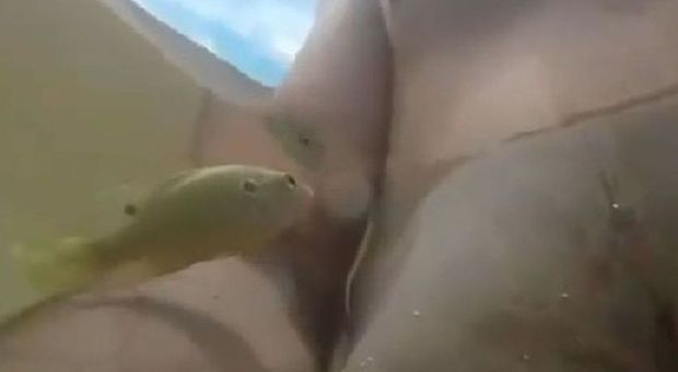 Bagno tra i pesciolini, uno salta e gli morde il capezzolo| Video Bagno tra i pesciolini, uno salta e gli morde il capezzolo| Video