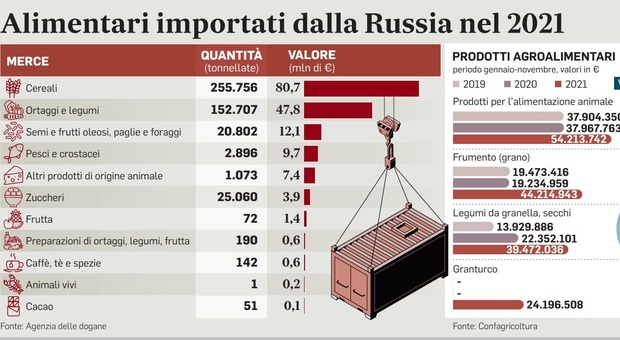 Putin: «Stop export di cibo». Cereali e legumi a rischio: quali ripercussioni per l'Italia?