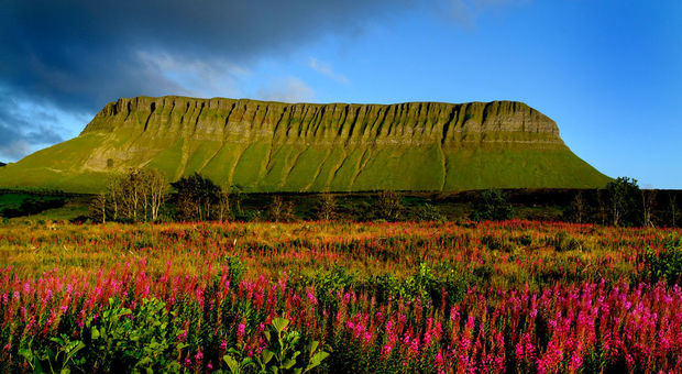 Irlanda a primavera: viaggio virtuale per immagini sull'isola delle “40 sfumature di verde”