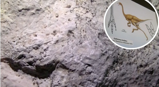Sulle tracce dei dinosauri: le immagini delle orme scoperte in Gargano