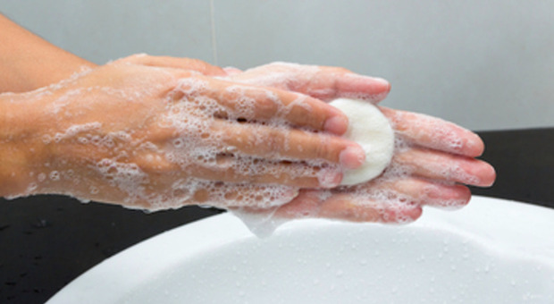 Casalinga, maniaca della pulizia, scopre di essersi lavata le mani (per settimane) con un pezzo di formaggio. La storia è virale