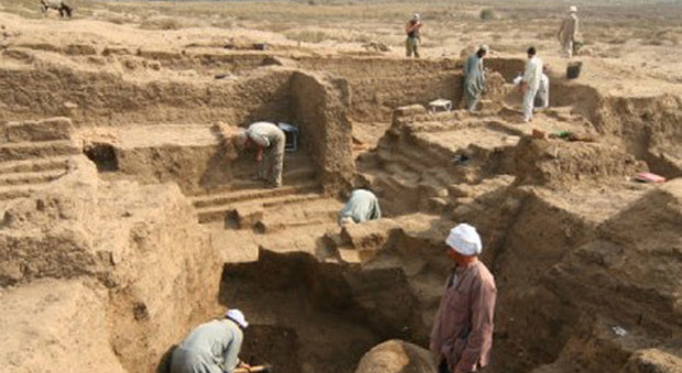 Egitto, durante gli scavi riemergono mummie di scarabei e decine di gatti in una necropoli