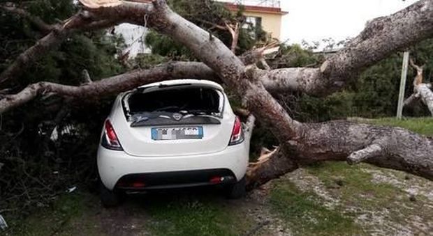 Maltempo a Caserta, marito e moglie morti sull'Appia: schianto contro un albero