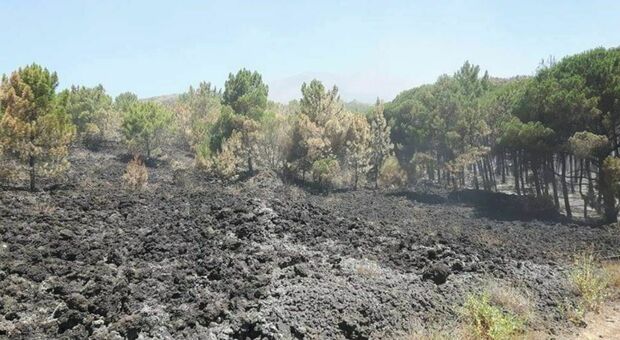 Stop agli incendi in Campania: vigili del fuoco con satelliti e sensori