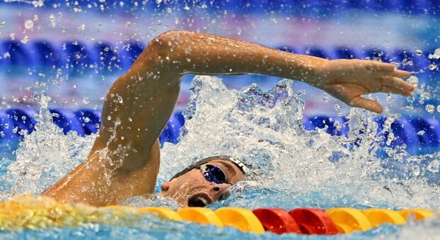 Mondiali di nuoto, domani Paltrinieri va a caccia dell'oro negli 800 stile libero