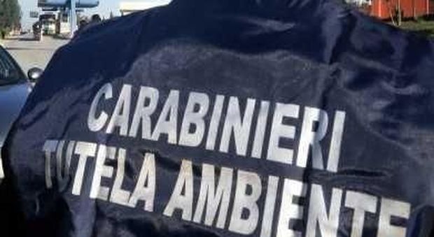 Ancona, sequestrati alla dogana del porto 2 container con rifiuti speciali
