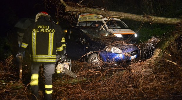 Nubifragio in città, albero cade su due auto, quattro feriti
