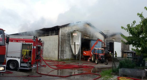 Incendio distrugge un'azienda agricola, in pericolo 60 mucche