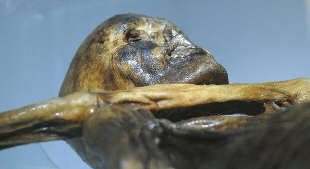 Il giallo della mummia Ötzi, l'uomo primitivo trovato nel ghiaccio 30 anni fa: «Fu ucciso alle spalle»