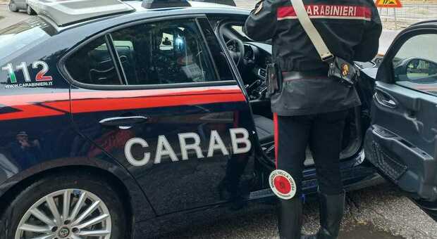 Stupratore in fuga preso a Gubbio: piantagione di cannabis nella casa in cui si nascondeva