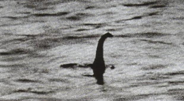 Svelato mistero del mostro di Loch Ness? Si tratterebbe solo di tronchi d'albero -guarda