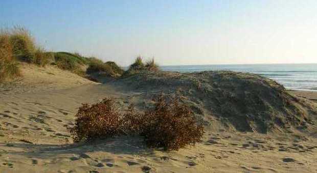 Ostia, cadavere di un uomo tra le dune: è stato trovato vicino al cancello 8