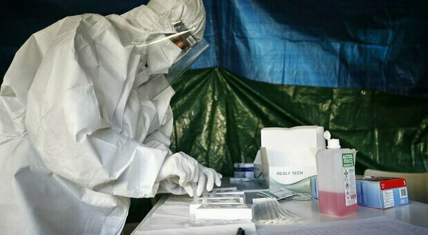 Coronavirus, altri 333 nuovi positivi nelle Marche, cala la percentuale di tamponi infetti
