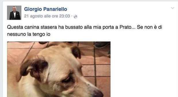 Giorgio Panariello accoglie in casa un cane smarrito: boom di mi piace su Facebook