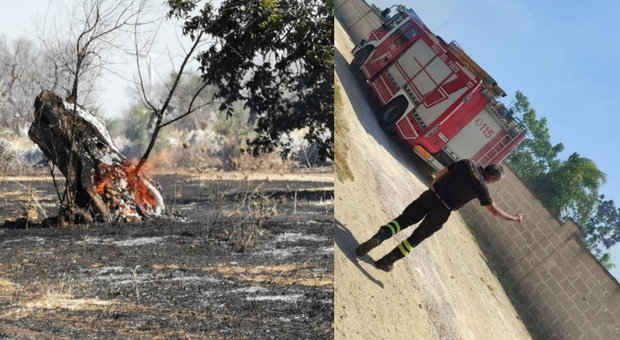 Intrappolato tra fiamme delle sterpaglie: 65enne muore carbonizzato