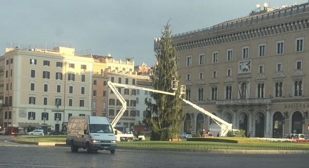 L'albero di Natale di Roma è «il più brutto d'Italia»: la Capitale corre ai ripari