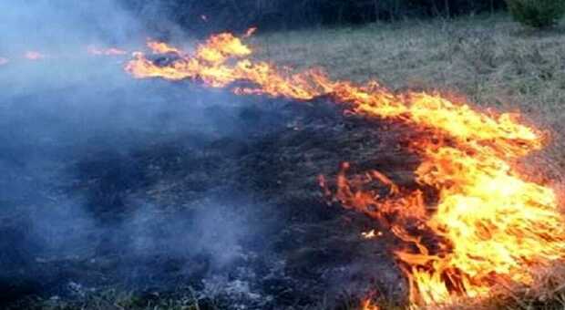 Incendio nei boschi di Avellino: devastati ettari di pascolo