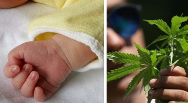 Bimbo di un anno ingerisce cannabis, portato in ospedale in overdose. «Aveva una frattura al cranio»
