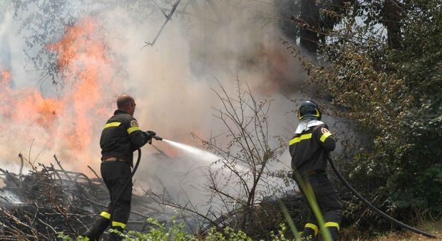 Vasto rogo in un bosco di Amaseno, vigili del fuoco e protezione civile impegnati per ore in località Zanella