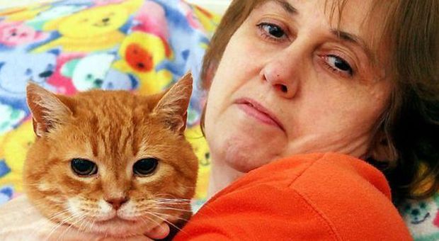 Stephanie, salvata dai gatti: hanno «annusato» e scoperto il suo tumore