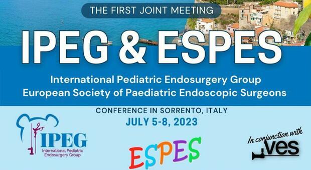 "The first joint metting - Ipeg & Espes" l'evento