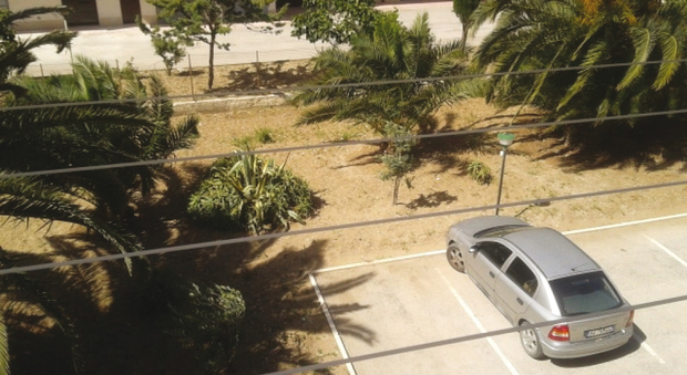 immagine Chi prende in affitto un appartamento
ha diritto a trasferirvi la residenza