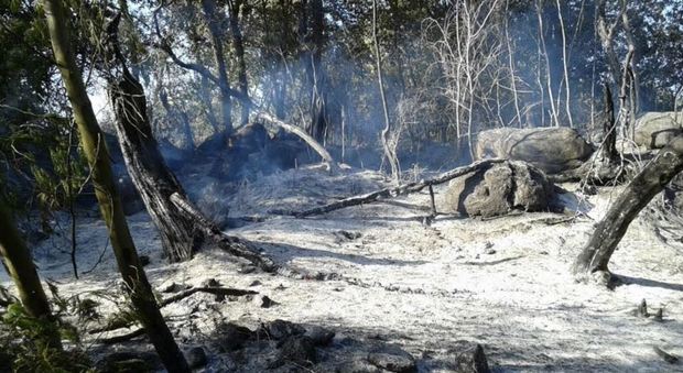 Incendi, due vittime in Calabria: morti due uomini che cercavano di spegnere le fiamme