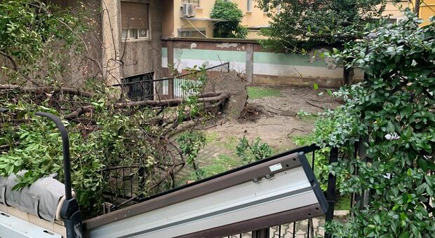 La tempesta di Milano fa tremare anche i marchigiani fuorisede. Decine di post sui social