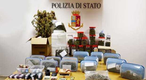 Senigallia, maxi sequestro di marijuana: nel casolare una serra "industriale"