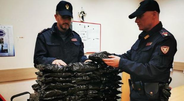 In viaggio con sei chili di papaveri per la morfina: indiano arrestato nella stazione di Napoli